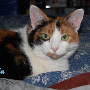 Meet your Posher, Robin